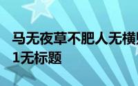 马无夜草不肥人无横财不富下一句是什么1001无标题