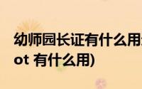 幼师园长证有什么用途(quot 幼师园长证 quot 有什么用)