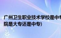 广州卫生职业技术学校是中专还是大专(广州卫生职业技术学院是大专还是中专)