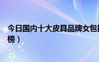 今日国内十大皮具品牌女包排行榜（漆皮女包十大品牌排行榜）