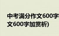 中考满分作文600字加赏析旁批(中考满分作文600字加赏析)