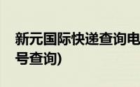 新元国际快递查询电话(新元国际快递查询单号查询)