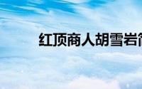 红顶商人胡雪岩简介(胡雪岩简介)