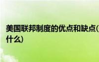 美国联邦制度的优点和缺点(美国联邦制的可能优势和劣势是什么)