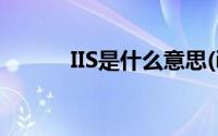 IIS是什么意思(iis7是什么意思)