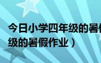 今日小学四年级的暑假作业多不多（小学四年级的暑假作业）