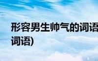 形容男生帅气的词语一个字(形容男生帅气的词语)