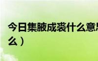 今日集腋成裘什么意思（集腋成裘的意思是什么）