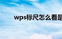 wps标尺怎么看是几厘米(wps标尺)