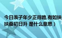 今日羡子年少正得路,有如扶桑初日升（羡子年少正得路有如扶桑初日升 是什么意思）