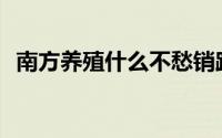 南方养殖什么不愁销路(养殖什么不愁销路)