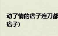 动了情的痞子连刀都拿不稳下一句(动了情的痞子)