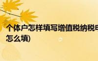 个体户怎样填写增值税纳税申报表(个体户增值税纳税申报表怎么填)