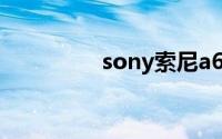 sony索尼a6000(sonya)