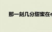 那一刻几分甜蜜在心头作文500字作文