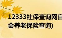 12333社保查询网官网养老保险(123333社会养老保险查询)