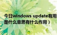 今日windows update有用吗（win7的Windows Update是什么意思有什么作用）