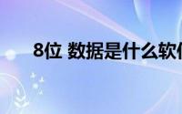 8位 数据是什么软件(8位 数据是什么)