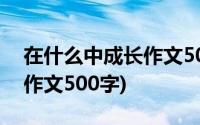 在什么中成长作文500字叙事(在什么中成长作文500字)