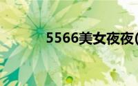 5566美女夜夜(5566美女夜夜)