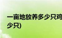 一亩地放养多少只鸡合适(散养鸡一亩地养多少只)