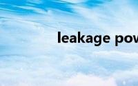 leakage power(leakage)