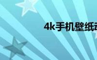 4k手机壁纸动漫(4k手机)