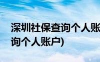 深圳社保查询个人账户查询(深圳社保明细查询个人账户)