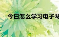 今日怎么学习电子琴（怎么学习电子琴）