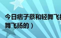 今日痞子蔡和轻舞飞扬（痞子蔡是怎么追上轻舞飞扬的）