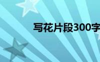 写花片段300字左右(写花片段)