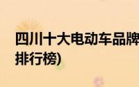 四川十大电动车品牌排行榜(十大电动车品牌排行榜)