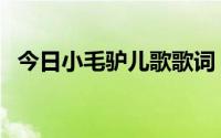 今日小毛驴儿歌歌词（小毛驴的歌词是啥）