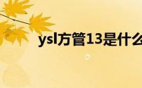 ysl方管13是什么颜色(ysl方管13)