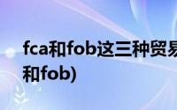 fca和fob这三种贸易术语有何共同特点(fca和fob)