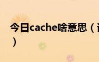 今日cache啥意思（谁知道ACHE是什么意思）