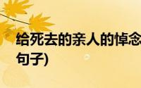 给死去的亲人的悼念的句子(悼念亲人去世的句子)