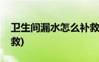 卫生间漏水怎么补救最好(卫生间漏水怎么补救)