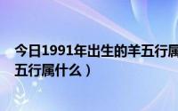 今日1991年出生的羊五行属什么命（1991年的羊是什么命五行属什么）