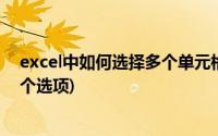 excel中如何选择多个单元格(excel如何一个单元格选择多个选项)