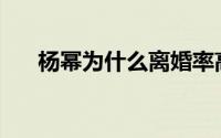 杨幂为什么离婚率高(杨幂为什么离婚)