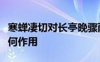 寒蝉凄切对长亭晚骤雨初歇交代了哪些内容有何作用