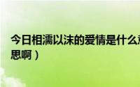 今日相濡以沫的爱情是什么意思（相濡以沫的爱情是什么意思啊）