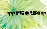 app是啥意思啊(app是什么意思怎么用)