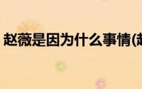 赵薇是因为什么事情(赵薇为什么陷害黄海波)