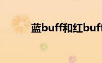 蓝buff和红buff的作用(蓝buff)