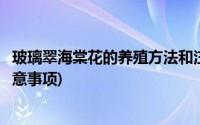 玻璃翠海棠花的养殖方法和注意事项(海棠花的养殖方法和注意事项)