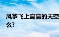 风筝飞上高高的天空带去了什么?也带去了什么?