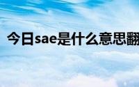 今日sae是什么意思翻译（SAE是什么意思）