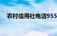 农村信用社电话95566(农村信用社电话)